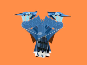 Two Way Blue Jay